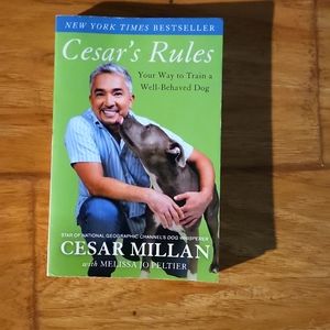 Cesar's Rules book
